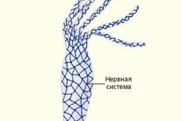 Что с кракеном сайт на сегодня