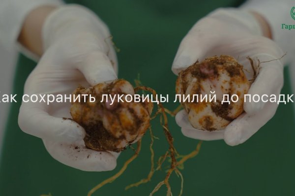 Кракен сообщество