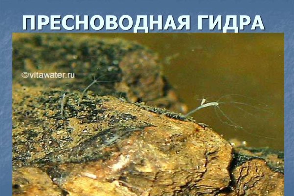 Как купить наркотик в кракен