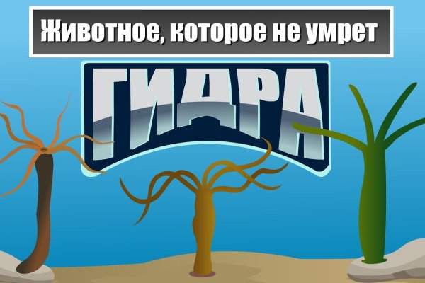 Через какой браузер заходить на кракен