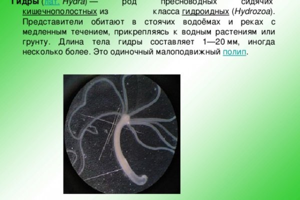 Kraken зеркало krakentor site