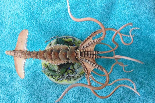 Магазин kraken даркнет