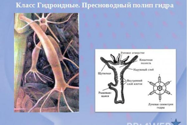 Проверенная ссылка кракен