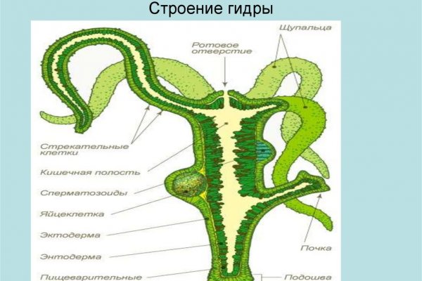 Кракен наркошоп